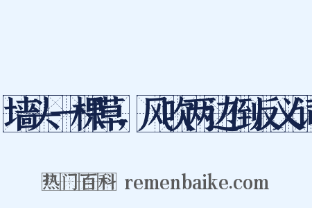 墙头一棵草，风吹两边倒反义词是什么意思的图片